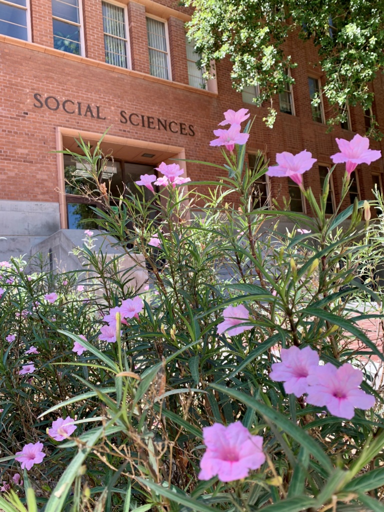 Social Sciences Building